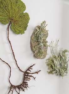 The Special Gift: NZ Kidney Fern & Lichens - 3D Embroidery