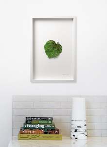 Kawakawa Leaf - 3D Embroidery