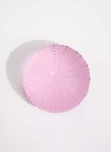 2XLarge Sea Urchin - Pink