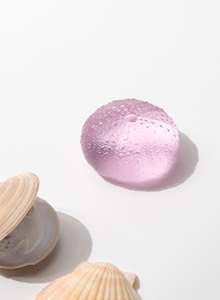 Gifts Under 150: Large Sea Urchin - Pink