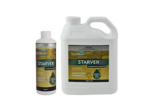 Specialty: Lochlor Iron Stain Remover
