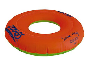 Pool Accessories Toys: Aussie Gold Jumbo Thermometer