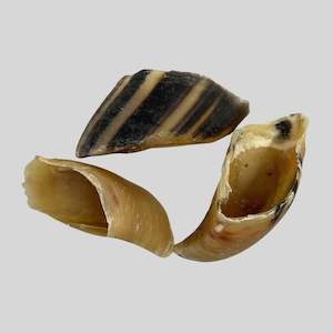 Bulk Foods: Air Dried Cow Hooves: The Only Treat for Big Chewers - 3 Pack