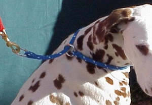 Rope Collar