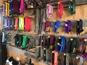 Limited Slip Collar - Medium & Large Sizes