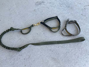 Tactical Gain Bungy Lead