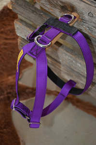 Tracking Harness