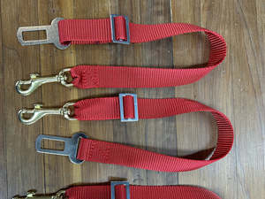 Seat Belt Attachment