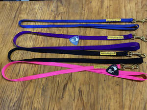 Plain Lead Small Dog