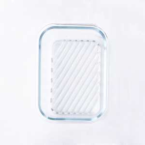 Storage: Vac-U-Seal Container 650ml Insert