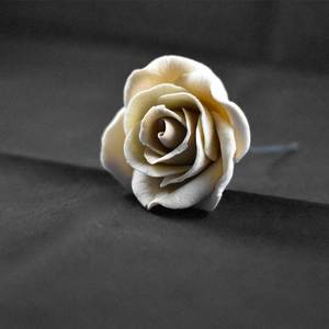Products: Ivory Rose Flower – The Rose Factory