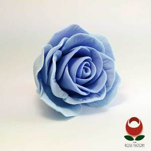 Products: Purple Rose Flower – The Rose Factory