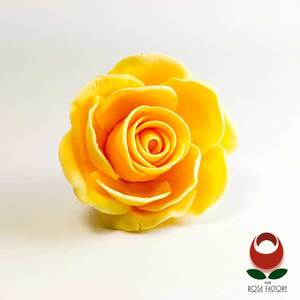 Products: Yellow Rose Flower – The Rose Factory
