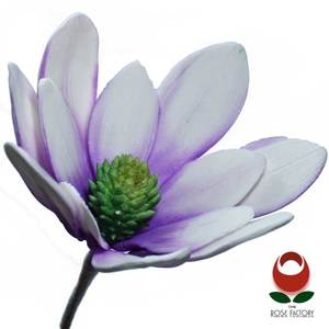 Products: Large Gum Paste Flower (1086) – The Rose Factory