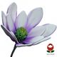 Large Gum Paste Flower (1086) – The Rose Factory