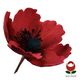 Large Poppy Flower (1087) – The Rose Factory