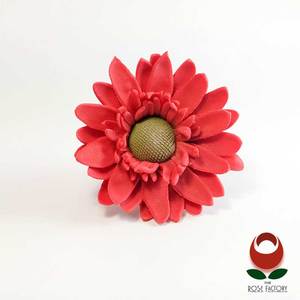 Products: Red Daisy Flower – The Rose Factory