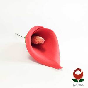 Products: Calla Lily Flower-Red – The Rose Factory