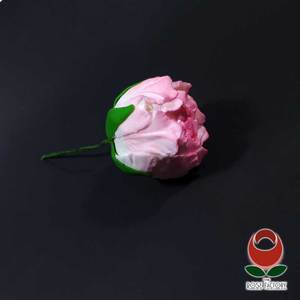 Products: Peony Bud (1251) – The Rose Factory