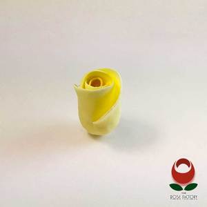 Products: Yellow Rose Bud – The Rose Factory