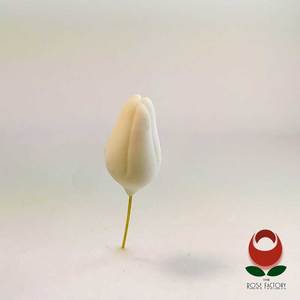 Products: Filler Flower Bud – The Rose Factory