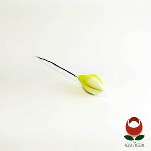 Products: Green Filler Flower Bud (674) – The Rose Factory