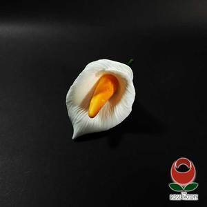 White Calla Lily Flower – The Rose Factory