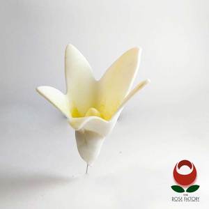 Flower – FLOW009 – The Rose Factory