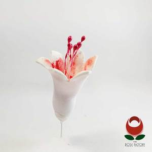 Campanula Flower (Red) – The Rose Factory