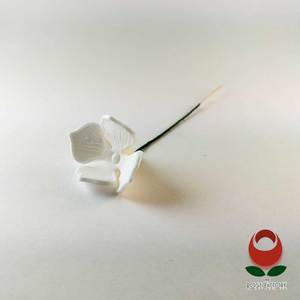 Products: White Hydrangea Flower – The Rose Factory