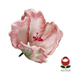 Parrot Tulip Flower – The Rose Factory