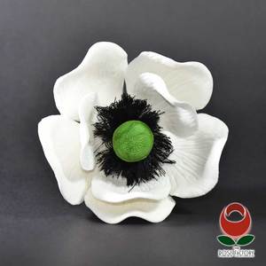 Products: Anemone Flower – The Rose Factory