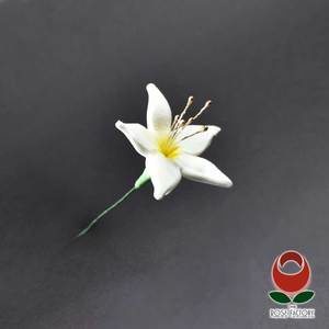 Filler Flower (1123) – The Rose Factory