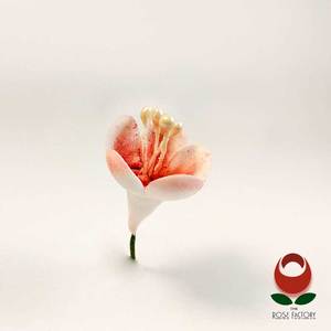 Flower (310) – The Rose Factory