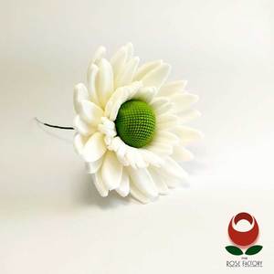 White Daisy Flower – The Rose Factory