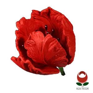 Products: Red Parrot Tulip Flower – The Rose Factory