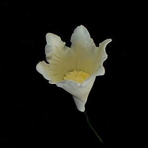 Products: Gumpaste Flower (1758) – The Rose Factory