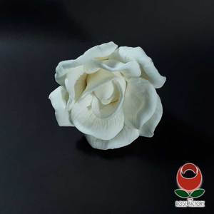 Products: White Rose Flower – The Rose Factory