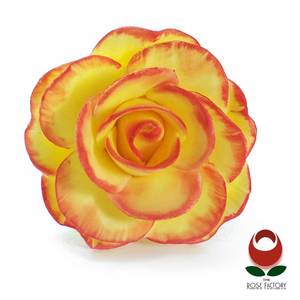 Products: Yellow Rose Flower (two-tone) – The Rose Factory