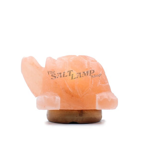 Crafted Salt Lamps: Turtle Salt Lamp (Timber Base)