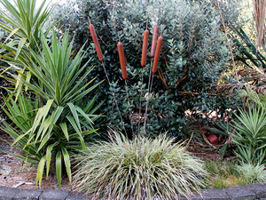 Products: Raupo Wind Wands