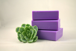 Products: Blueberry Soap
