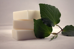 Products: Cinnamon & Kawakawa Soap