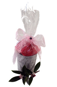 Products: Summer Flower Pot Gift Pack