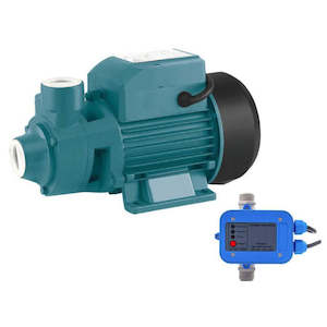 Water Pumps: Electric Water Pump 0.5HP