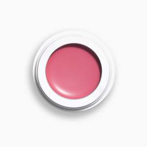 Makeup Bronze Blush Highlight: All Over Colour: Dianthus