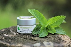 Nudi Point Creamy Lip Butter - Spear me a kiss - The Soul Library