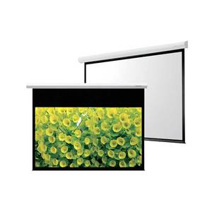 Projector Screens: Grandview Deluxe Manual Pull Down Projection Screen