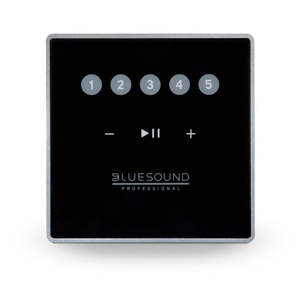 Bluesound Professional: CP100