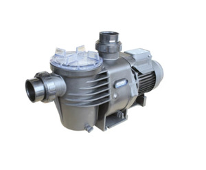 Waterco Hydrostorm 150 Pool Pump